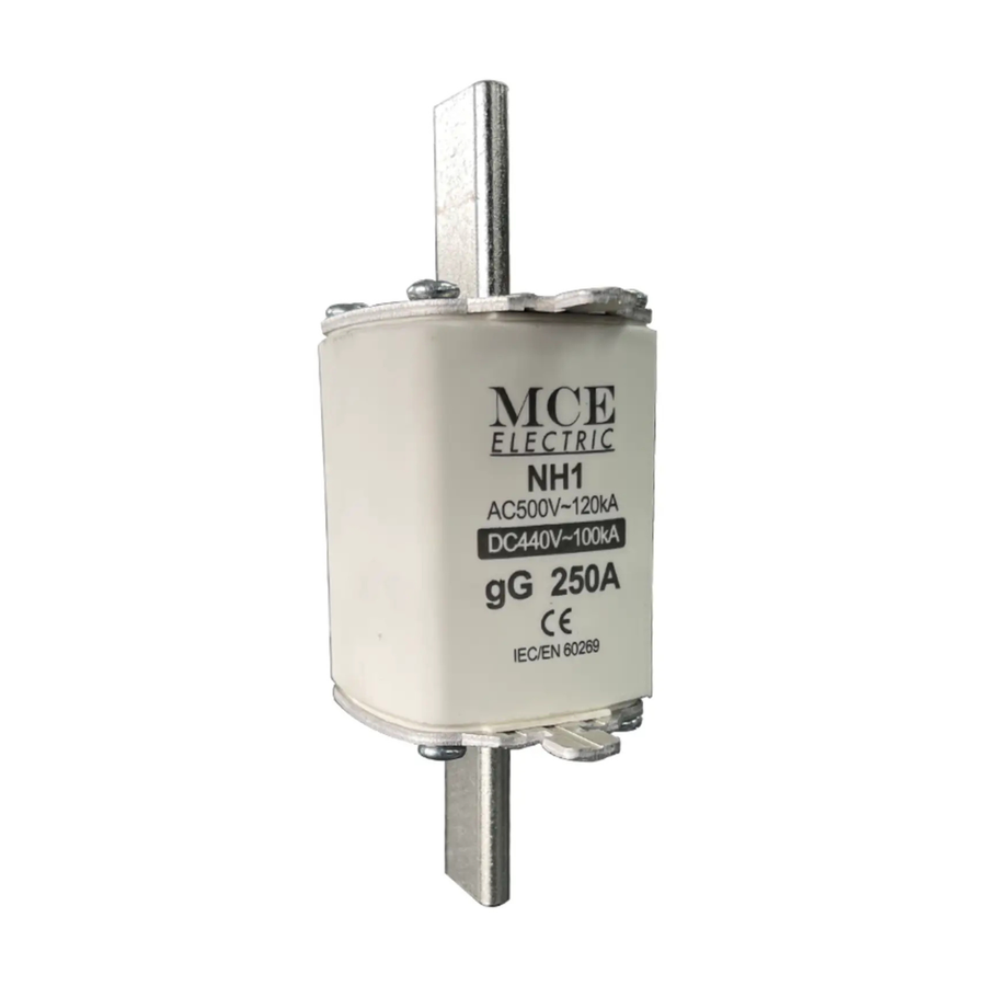 250A DC Solar Battery Fuse
