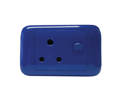 2X4 BLUE DEDICATED SOCKET - Standard Lighting (Pty) Ltd