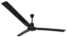 3 Blade Eco Ceiling Fan, Black - O - LITE - Standard Lighting