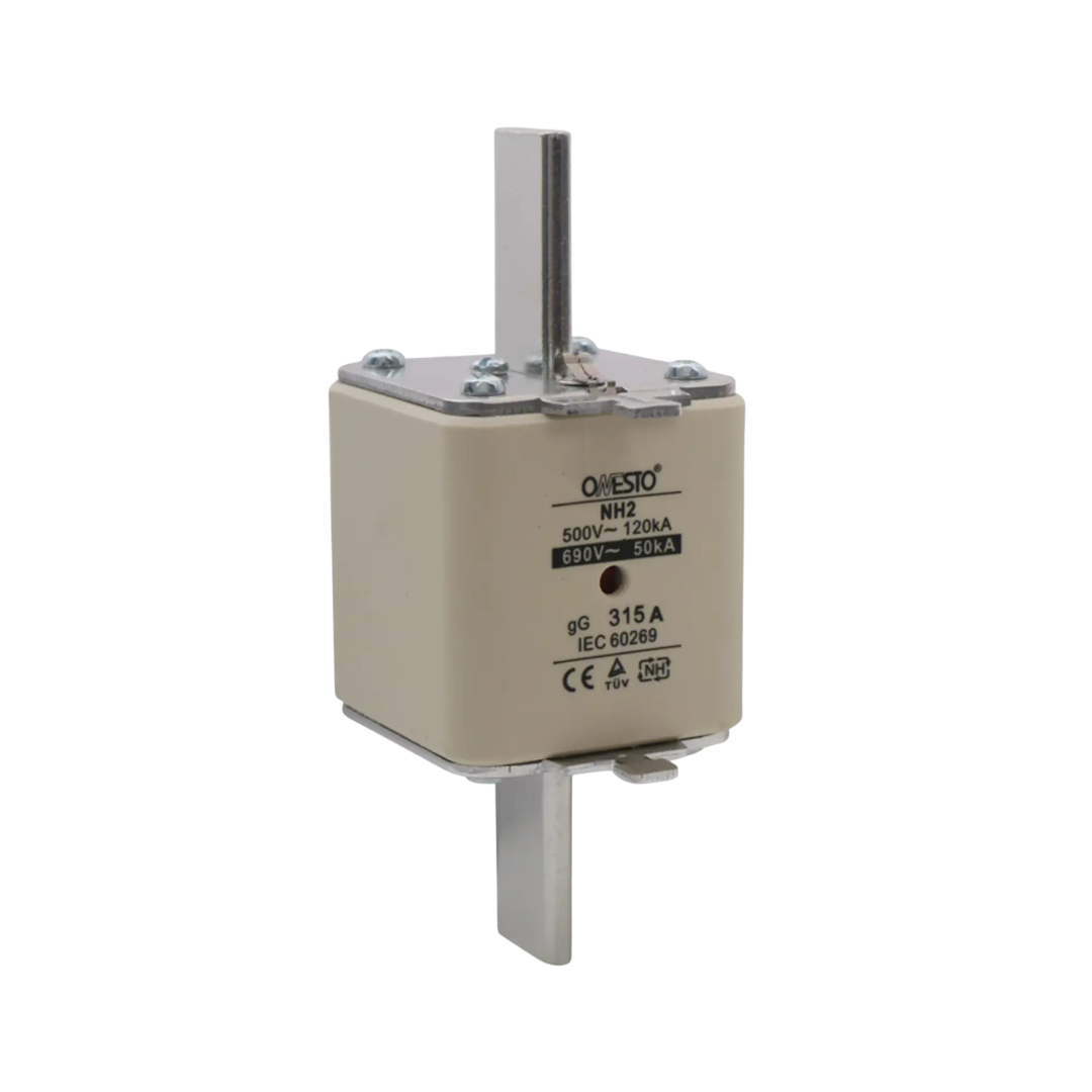 Onesto GG-NH2-400 400A AC General Protection Fuse