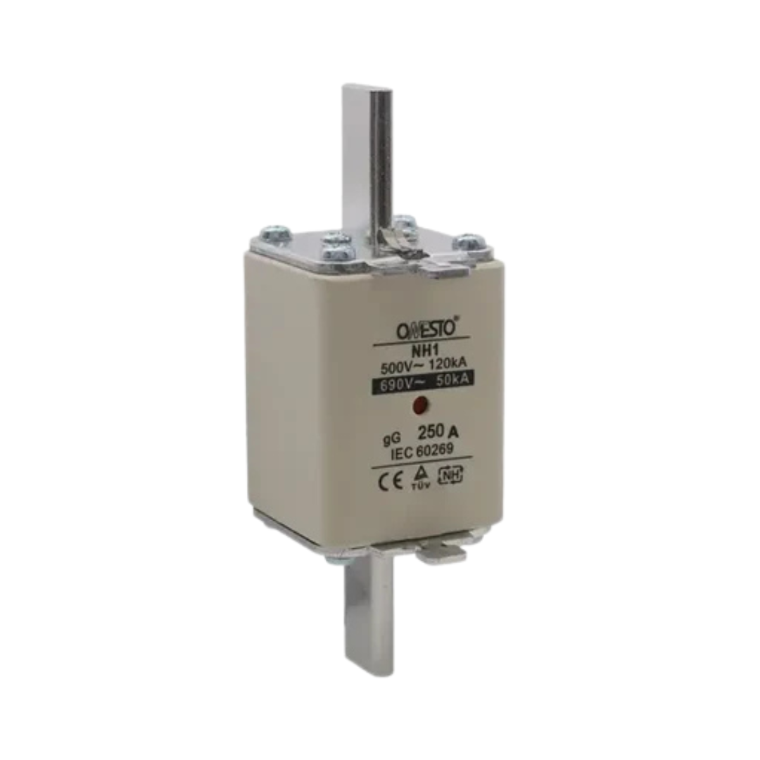 Onesto GG-NH1-250 250A AC General Protection Fuse