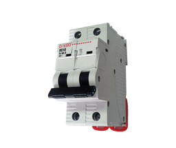 DOUBLE POLE 10KA CIRCUIT BREAKERS - Standard Lighting (Pty) Ltd
