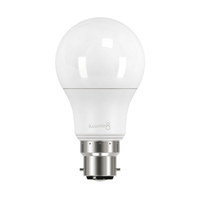 illumin8 15W LED A60 B22 Lamp - ILLUMIN8 - Standard Lighting