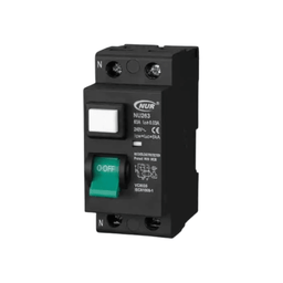 NUR 2 Pole 63A Mini Rail Earth Leakage - NUR - Standard Lighting