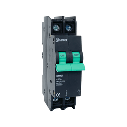 Schenker SMI13-263 63A 2 Pole Isolator - SCHENKER - Standard Lighting