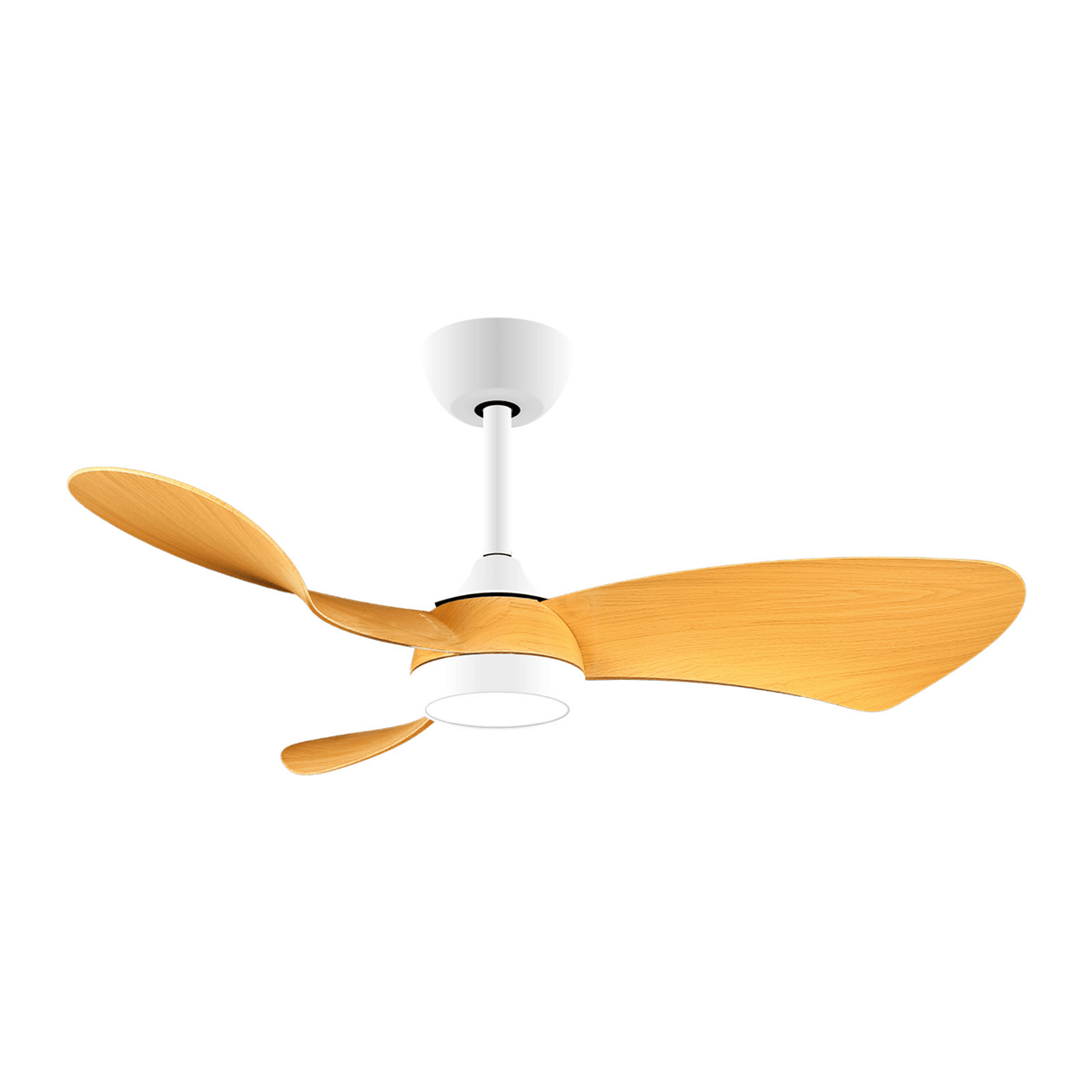 Sirocco 3 Blade Ceiling Fan With LED Light - White & Beech - ILLUMIN8 - Standard Lighting